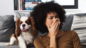 علت بوی بد دهان سگ