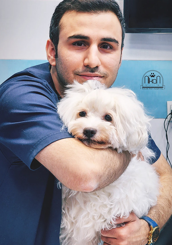 بخش بیهوشی و بی دردی بیهوشی دامپزشکی نیکان و کلینیک درد حیوانات خانگی