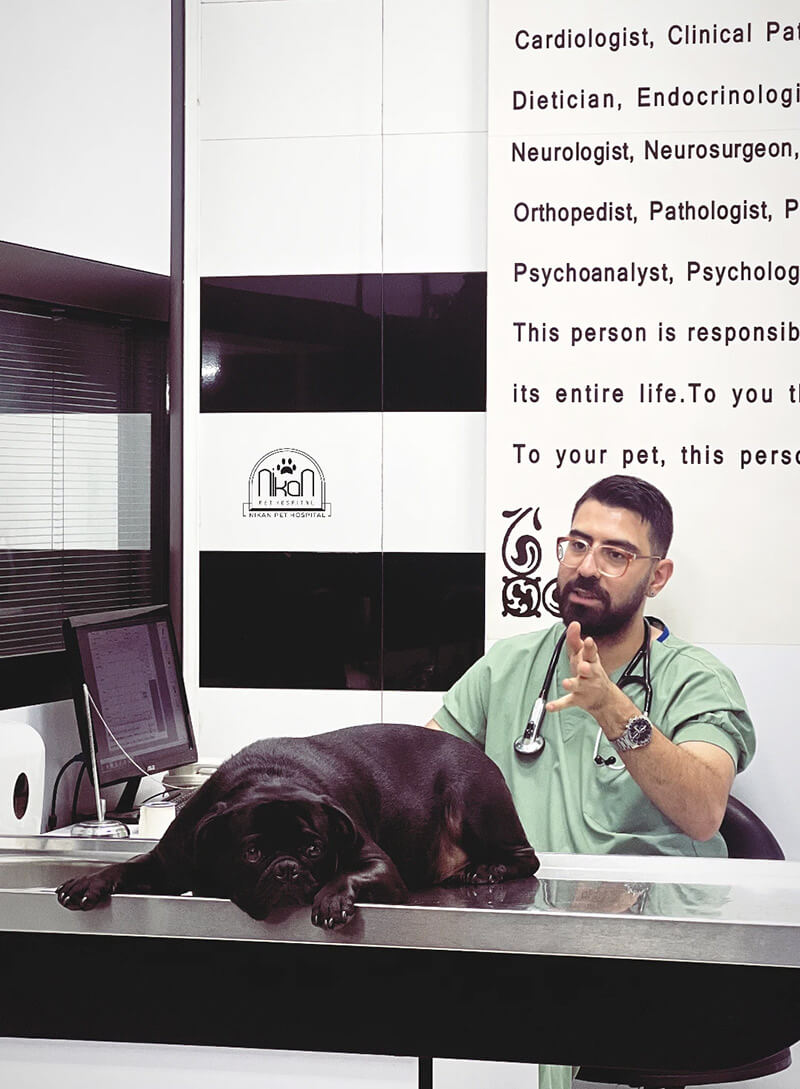 بخش بیهوشی و بی دردی بیهوشی دامپزشکی